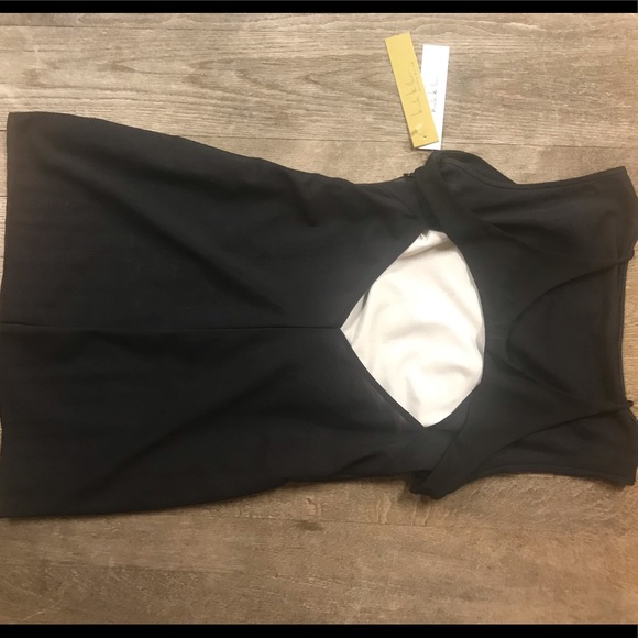 NWT Nicole Miller Sheer Mini Dress - Picture 5 of 6